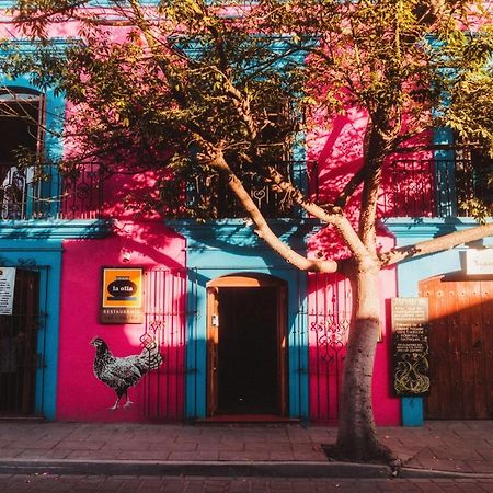 Casa De Las Bugambilias B&B Oaxaca ภายนอก รูปภาพ