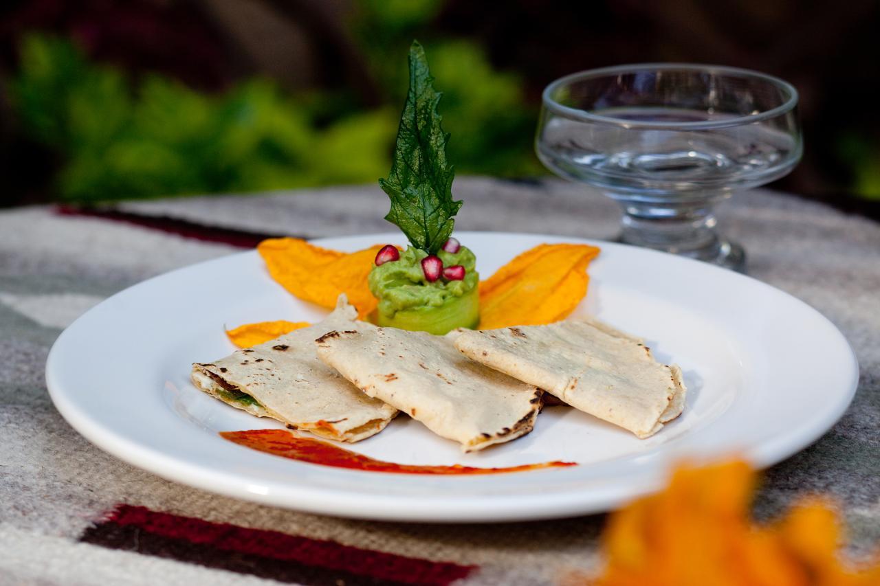Casa De Las Bugambilias B&B Oaxaca ภายนอก รูปภาพ